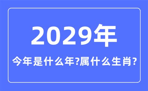 2029年五行|2029年是什么年